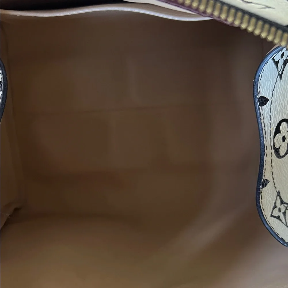 Louis Vuitton Limited Edition Cream and Brown Monogram Crossbody Bag - Picture 11 of 13